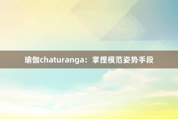 瑜伽chaturanga：掌捏模范姿势手段